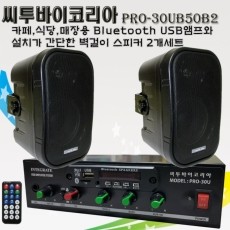 씨투바이코리아 PRO-30UB50B2 매장용 블루투스 USB앰프와 벽걸이스피커2개세트