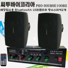 씨투바이코리아 PRO-30UBSE100B2 블루투스앰프와 방수용스피커2개