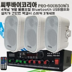 씨투바이코리아 PRO-60UB50W3 4CH 블루투스앰프와 벽걸이스피커3개